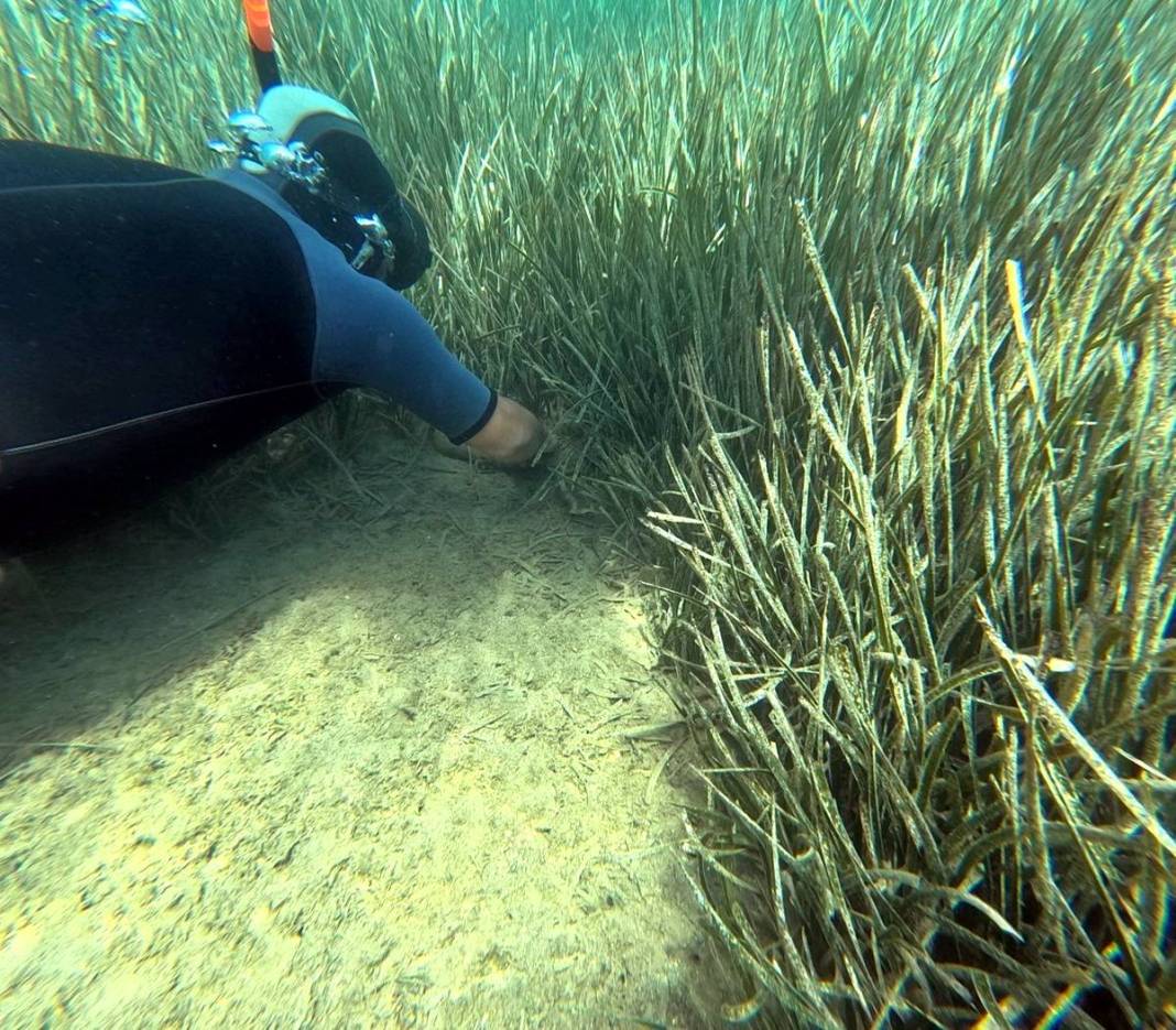 Bunu balıklar yıkansın diye mi denize attın! Deniz dibi temizliğinde 'Pes' dedirten görüntüler... 10